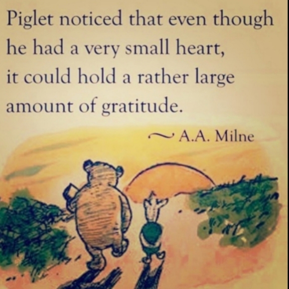 DDX DRI*DUCK JACKET SIZE L UniSex - Picture 3 of 16